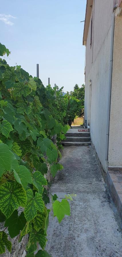 Margaret'S Guest House Mesopotam Ngoại thất bức ảnh